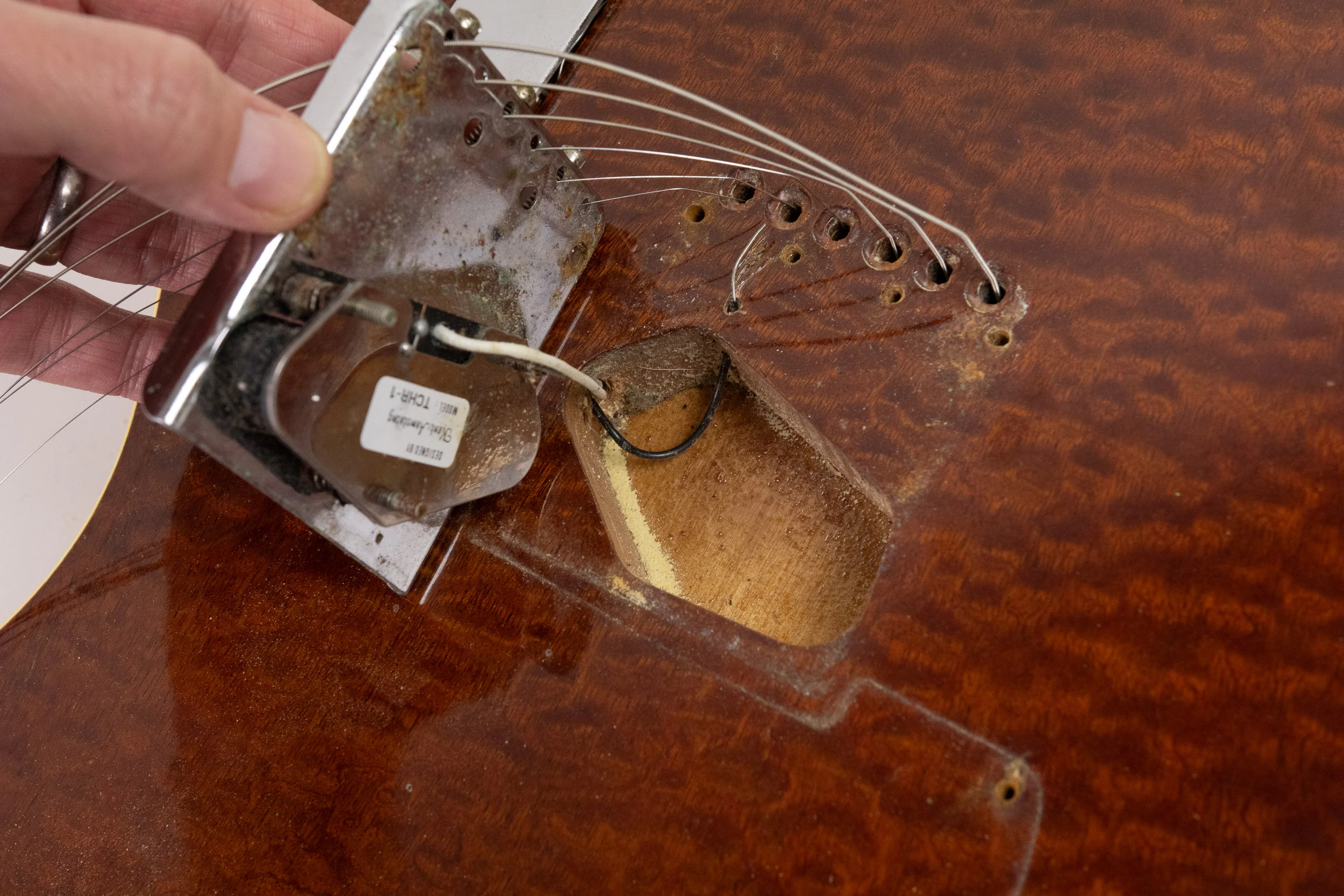 1985 Tokai Breezysound TTE60 TM - Image 41