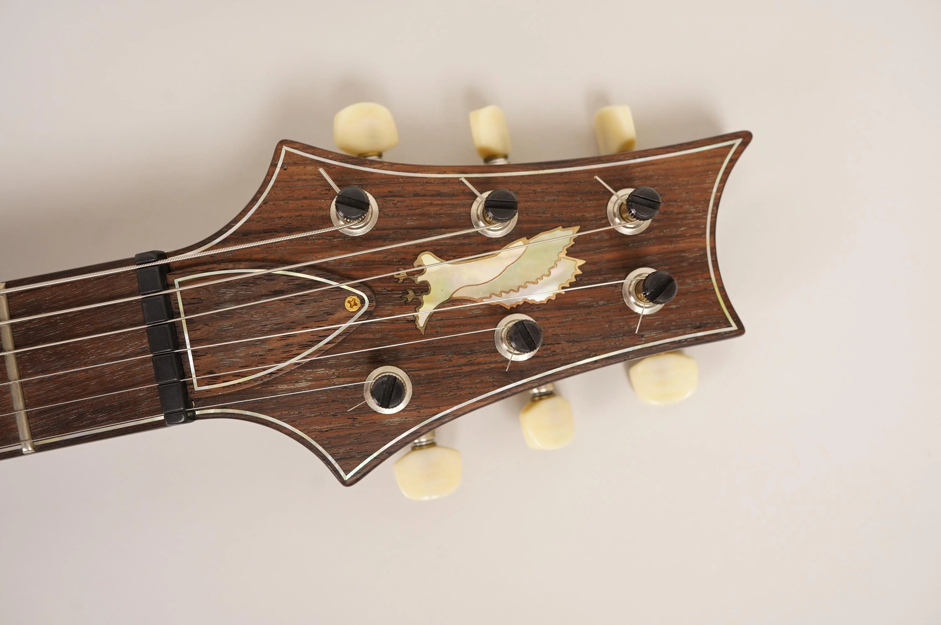 2009 PRS Private Stock DGT - Image 15