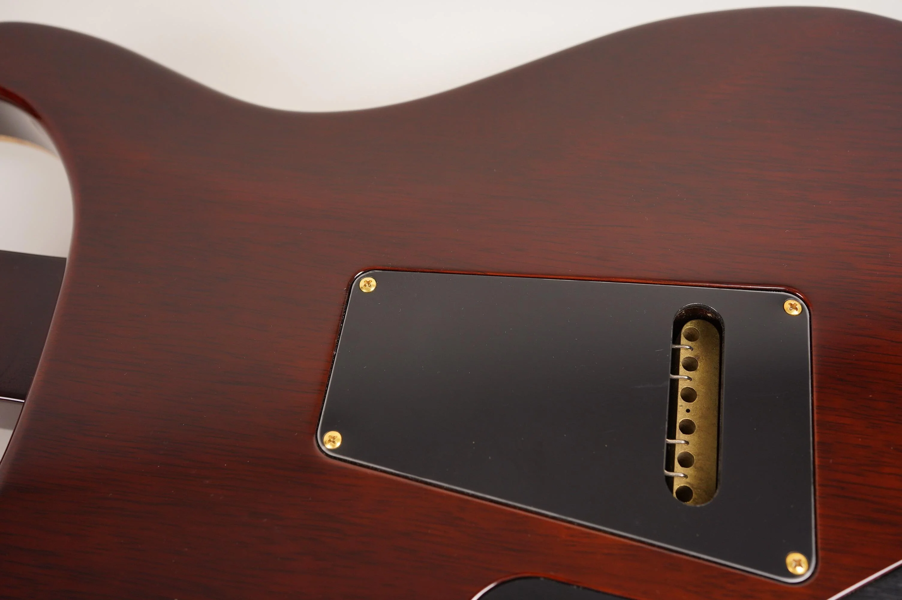 2009 PRS Private Stock DGT - Image 29