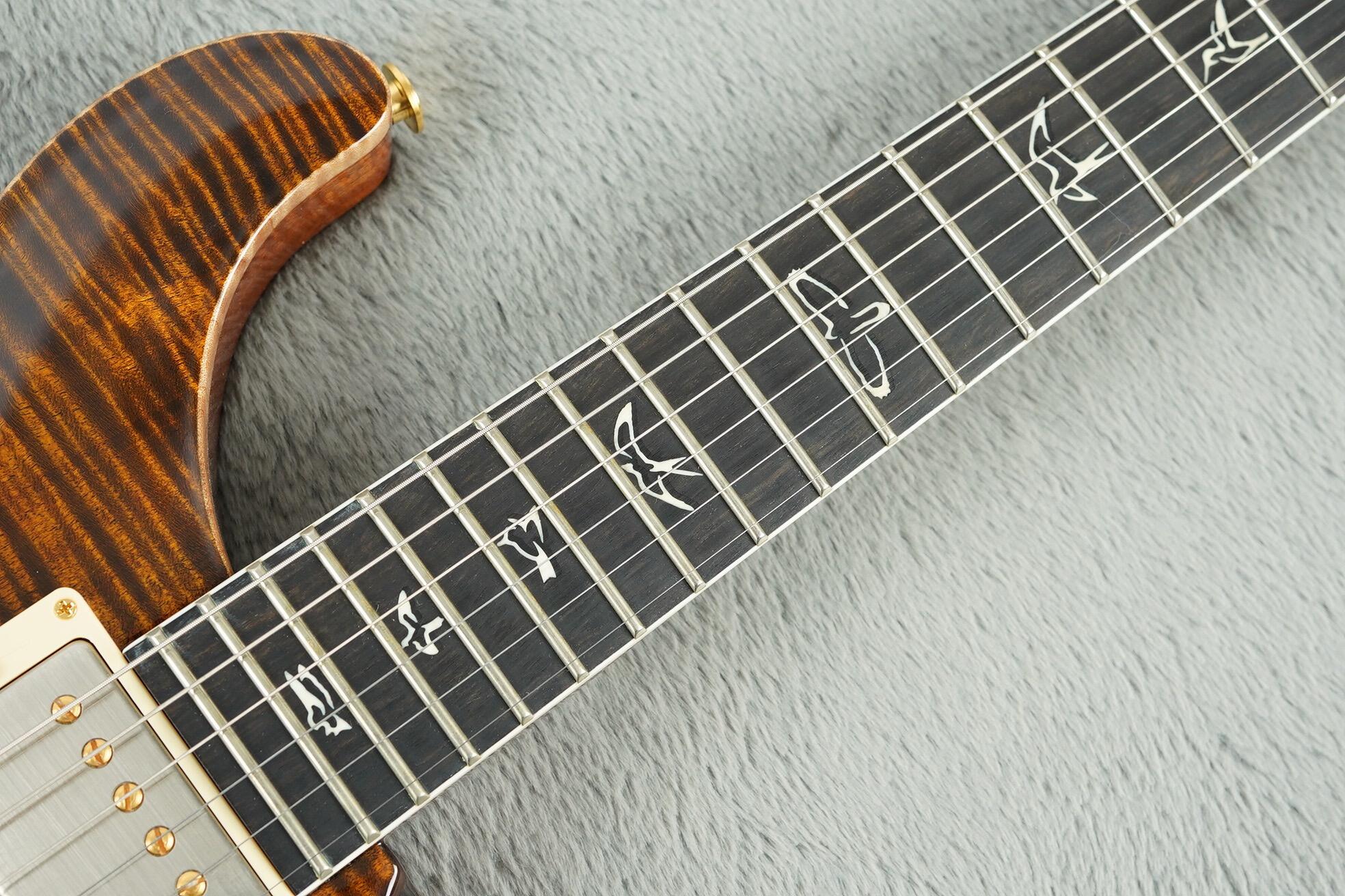 2010 PRS 25th Anniversary DGT Limited Edition #24/25 + OHSC - Image 22