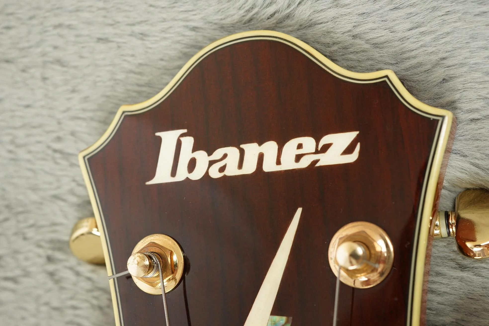 Ibanez PM2-AA Pat Metheny ex-Martin Barre Jethro Tull - Image 24