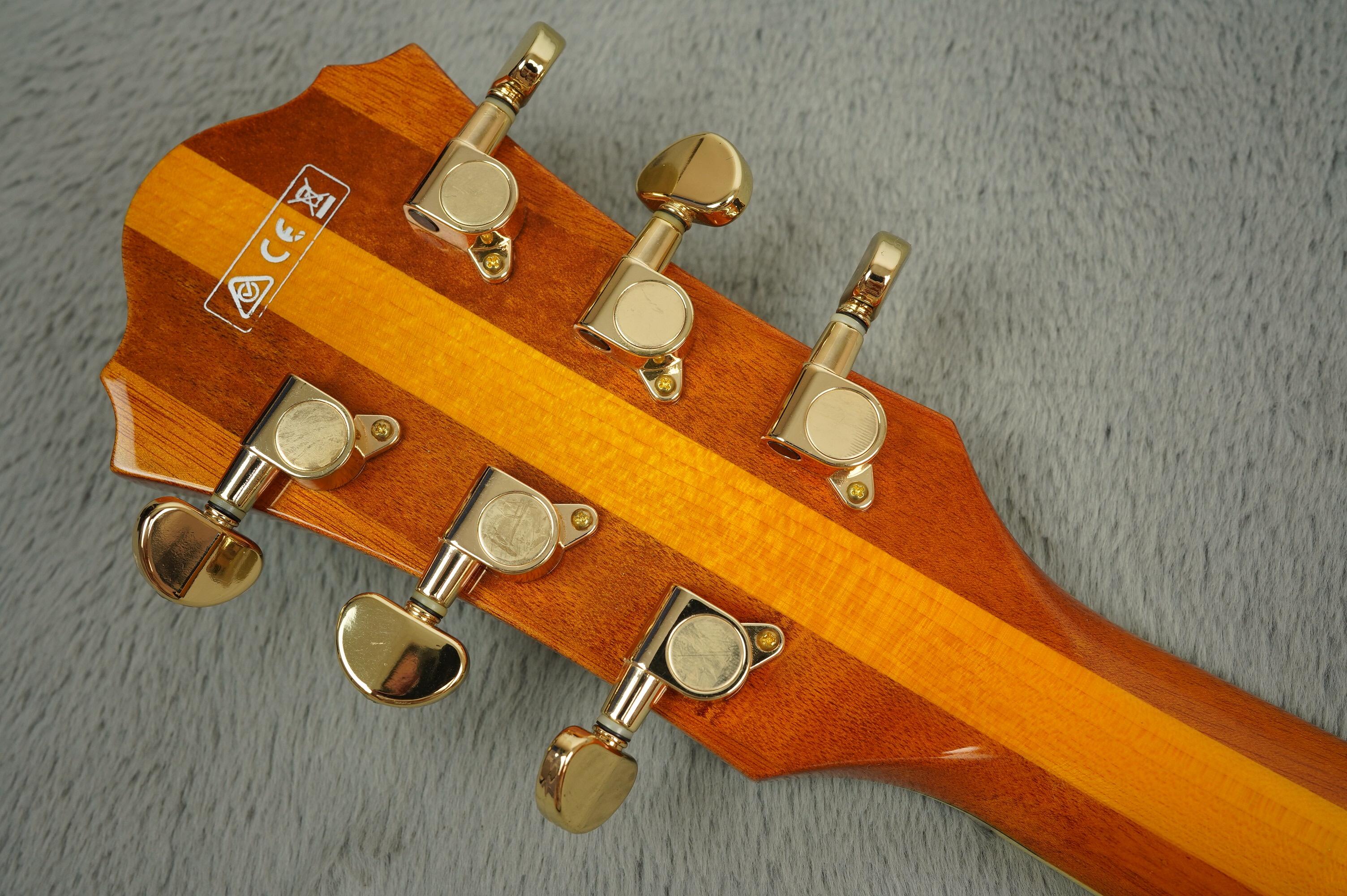 Ibanez PM2-AA Pat Metheny ex-Martin Barre Jethro Tull - Image 35
